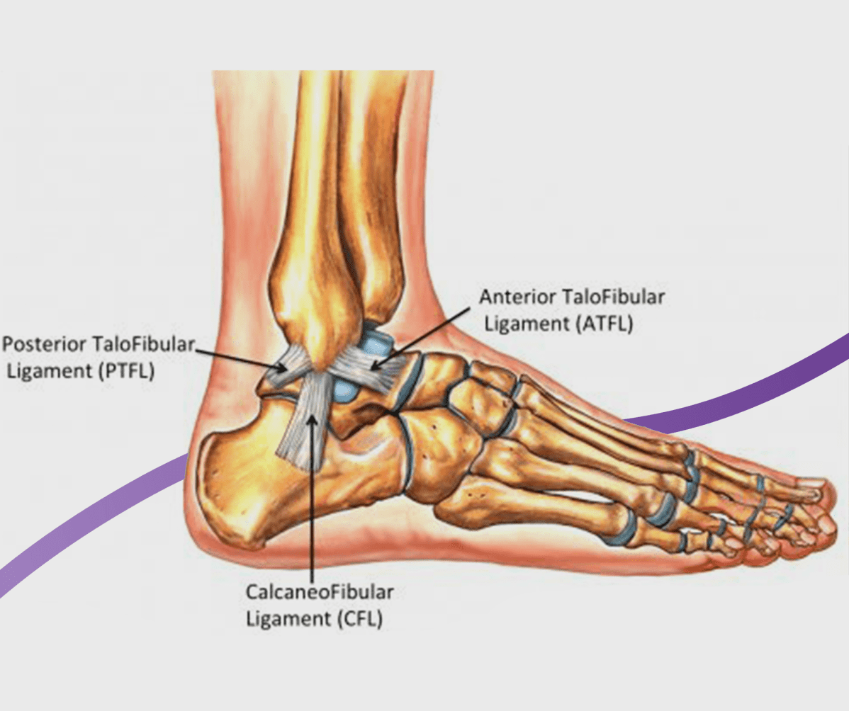 A side view of a foot with a hand holding the ankle. The ankle is highlighted red signifying pain